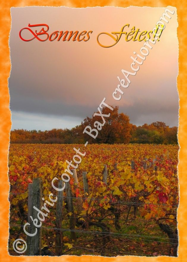 Carte de vœux (Ref Bonnes Fêtes)