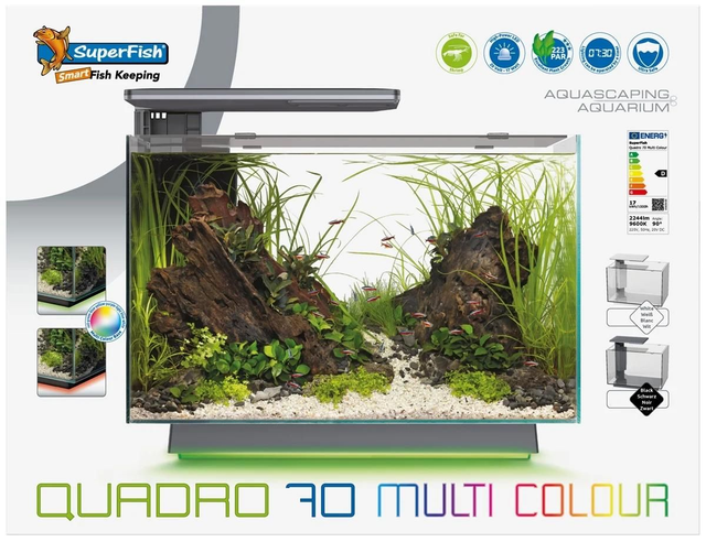 Quadro 70 multi colour zwart 8715897349195