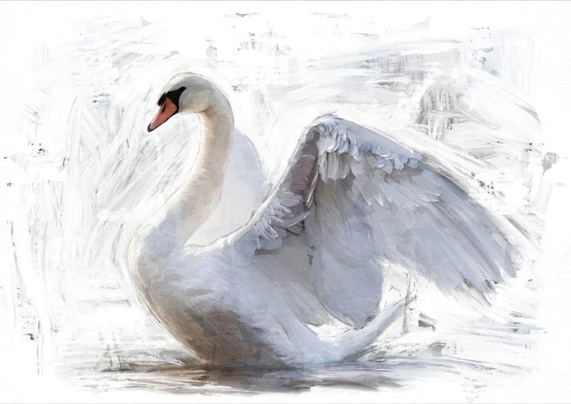 White Swan