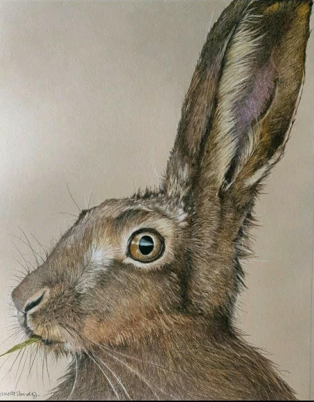 Sean's Hare Original SOLD