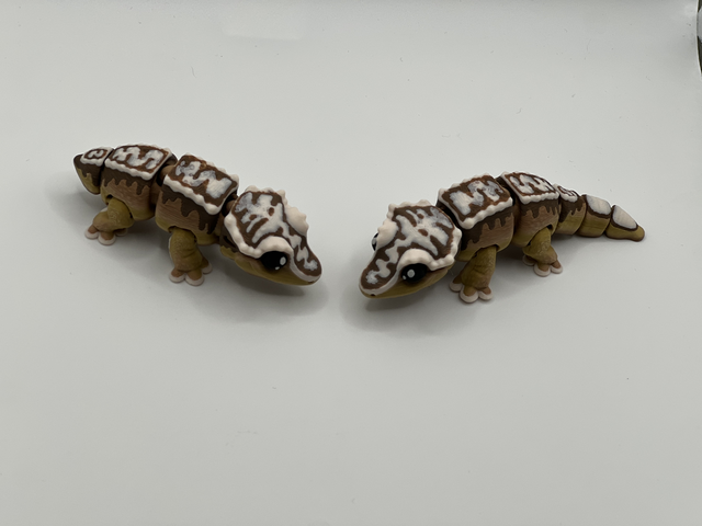 Crested gecko