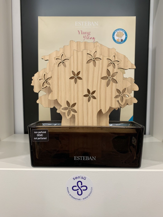 ESTEB ARBRE A PARFUM + RECHARG 150ML - YLANG YLANG