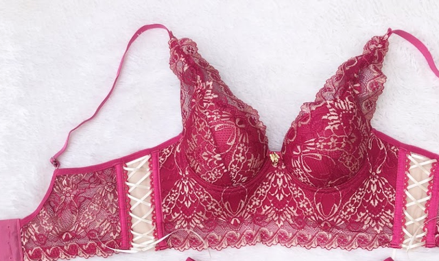 Conjunto Cropped /Bustier de Encaje Bordado en Pink y Blanco Roto. Con aro y copa, braguita/culote de tule bordado