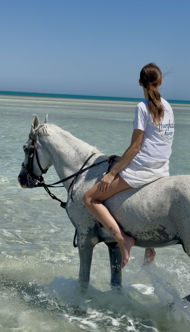 Balade à cheval + nage avec le cheval