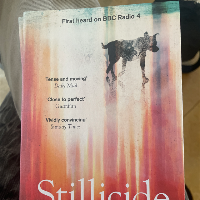 Stillicide Cynan Jones