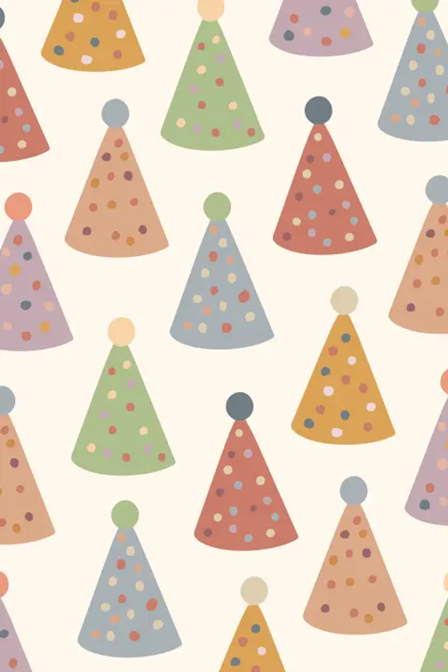 Feesthoedjes- FRITSY 