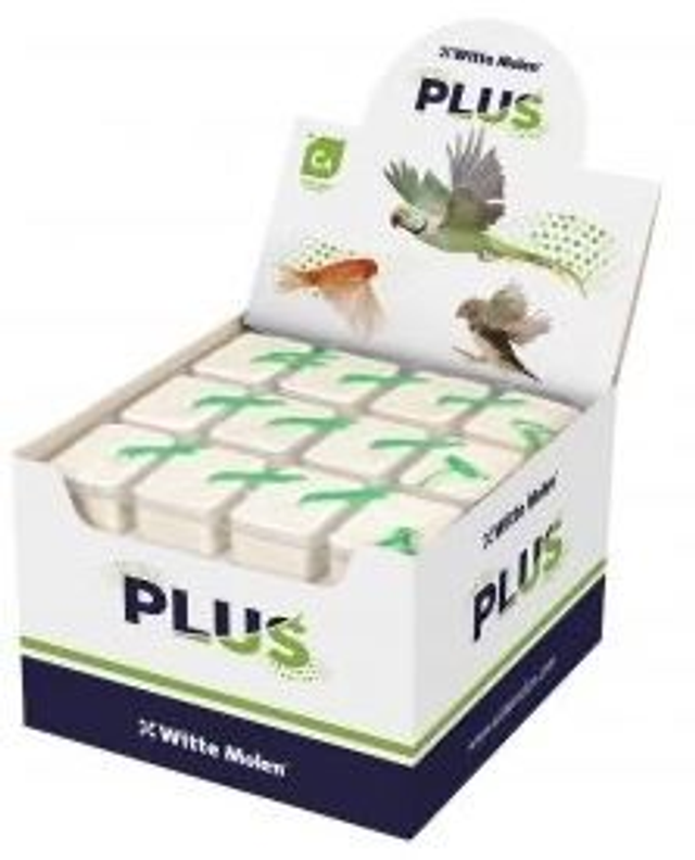 Witte moleen calcium/iodine blocks