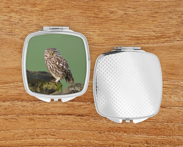 "Little Owl" Compact Mirror  