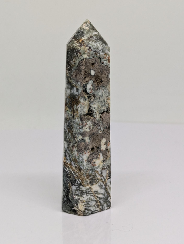 238 Agate arbre 86gr 