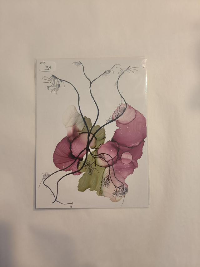 Carte N16