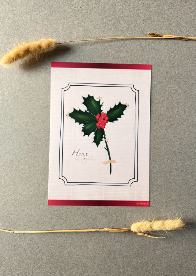 Affiche 12. Le Houx (décembre) 