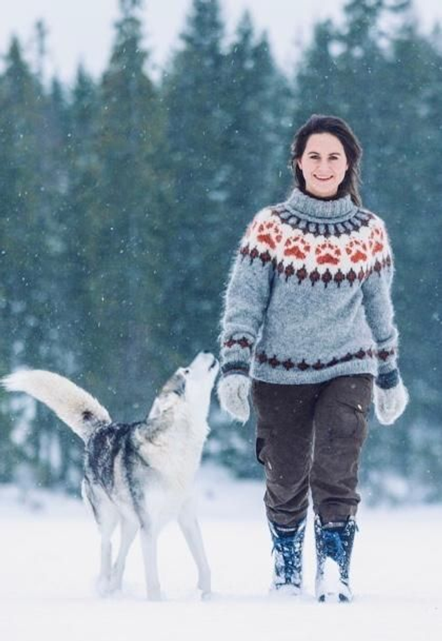 Wilderness Sweater Kit - Col 14 (Ash Heather Álafosslopi) - Wool &amp; Pattern - Linka Neumann