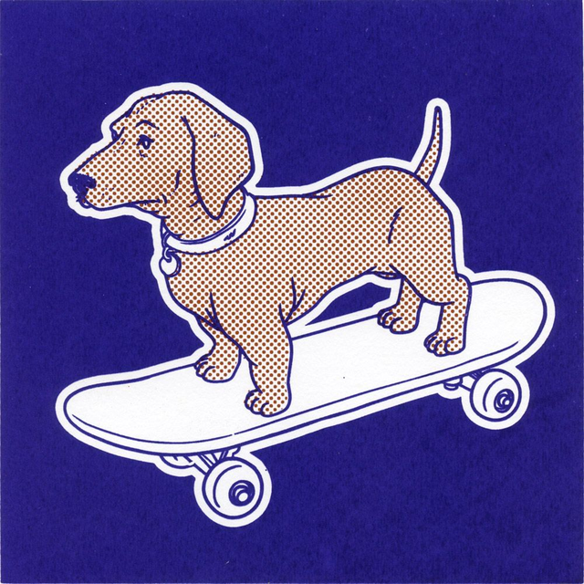 Dog on a Skateboard