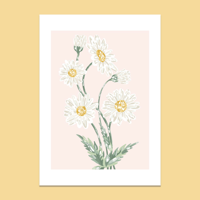 Les pâquerettes 🤍