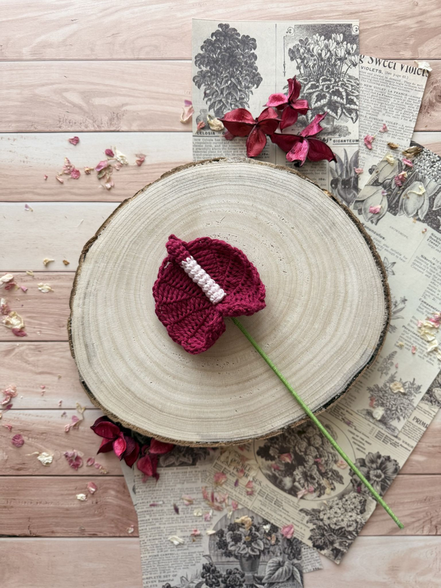 Anthurium (personnalisable pour créer votre bouquet)