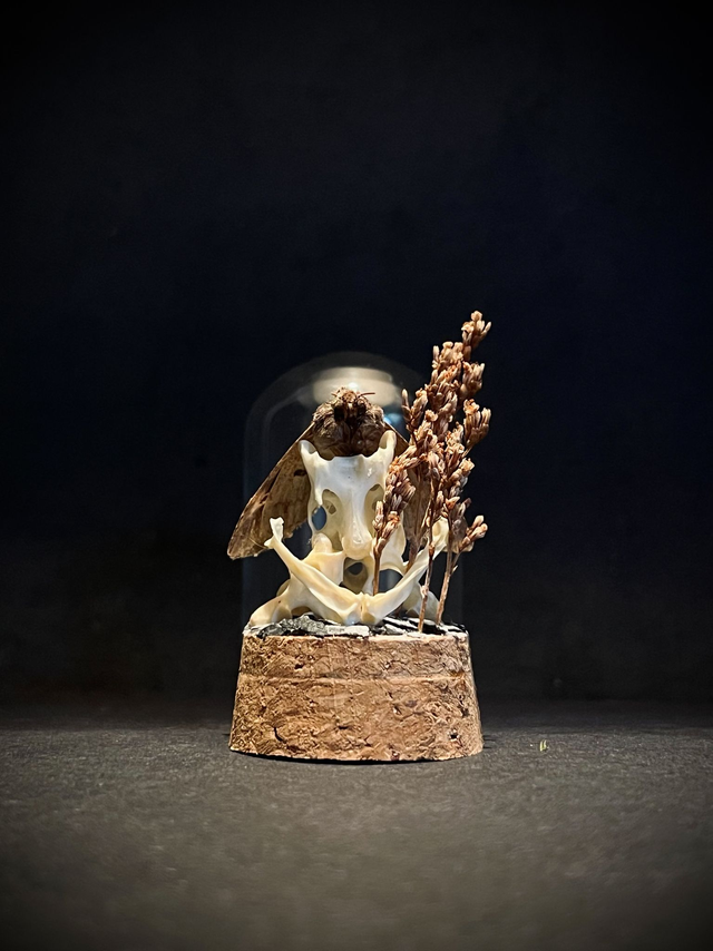 Miniature - Plusieurs choix