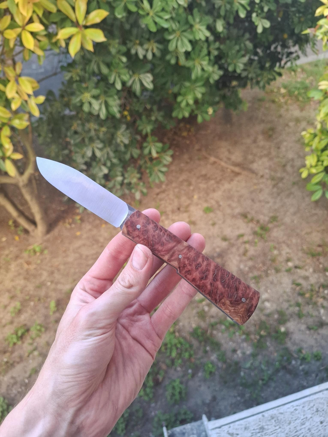 Taurus - Loupe de Red mallee