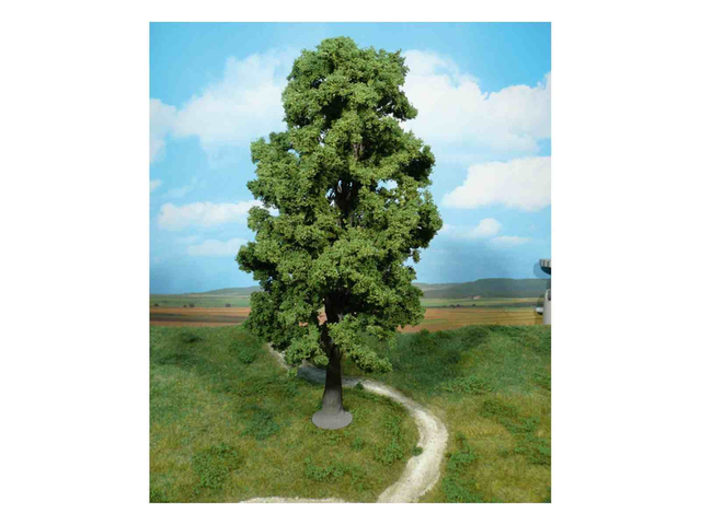 érable sycomore 35cm Heki 1943