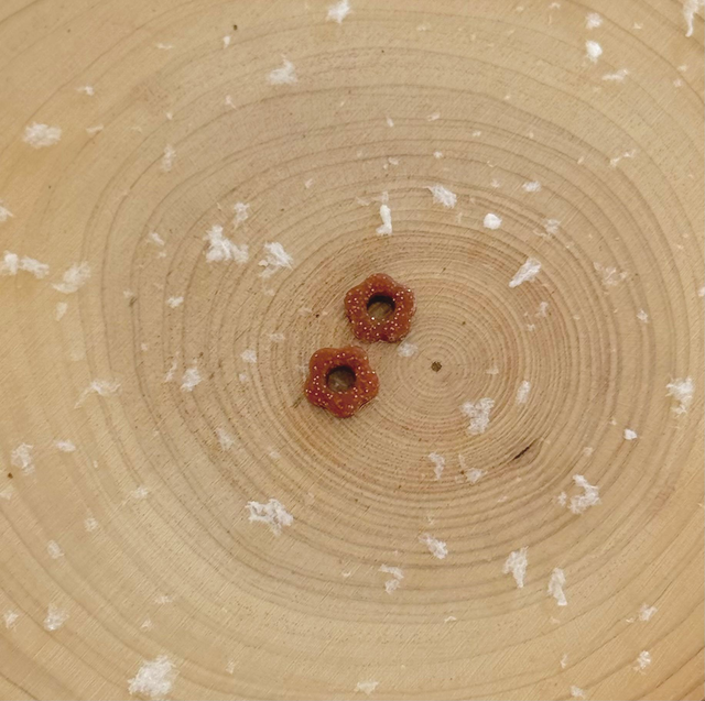 Mini pampilles bordeaux pailletées