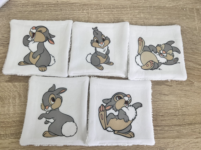 Débarbouillettes