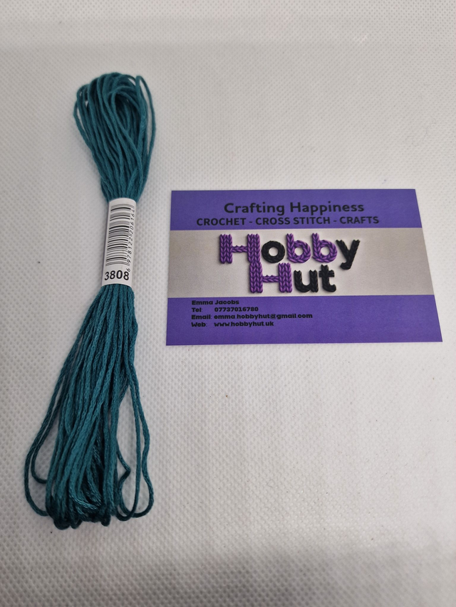 Embroidery Thread - 3808