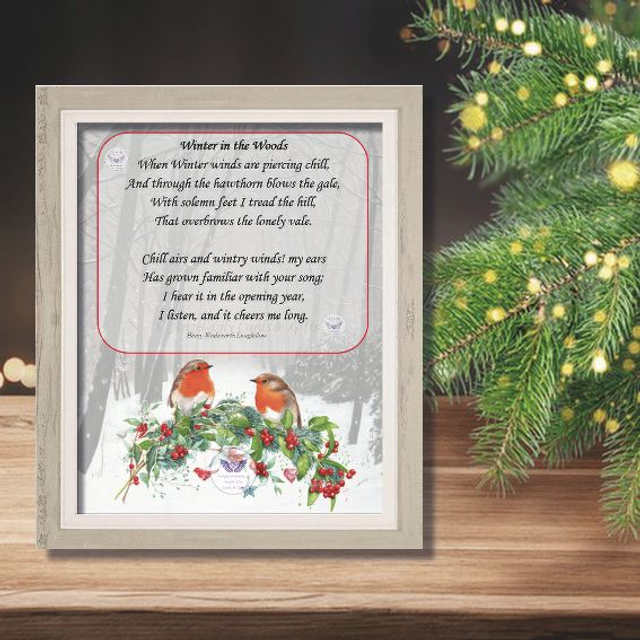 X13: Winter in the Woods