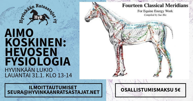 Aimo Koskisen luento