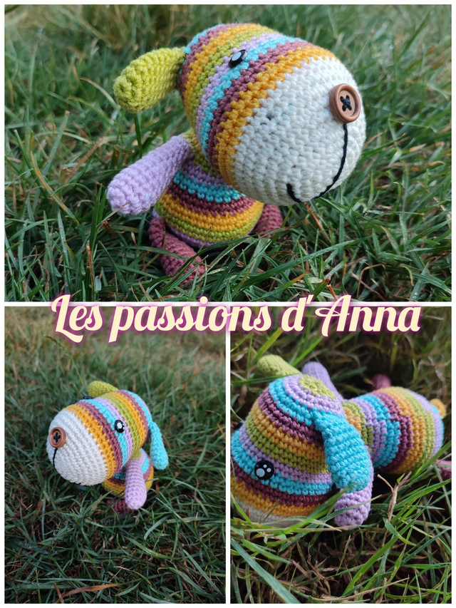 Bobby Le Petit Chien 