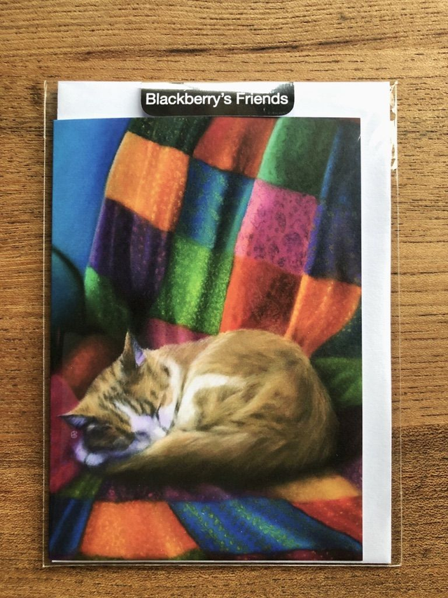 Greeting Card 'KEES' (Konijnenparadijs) (A6 size)