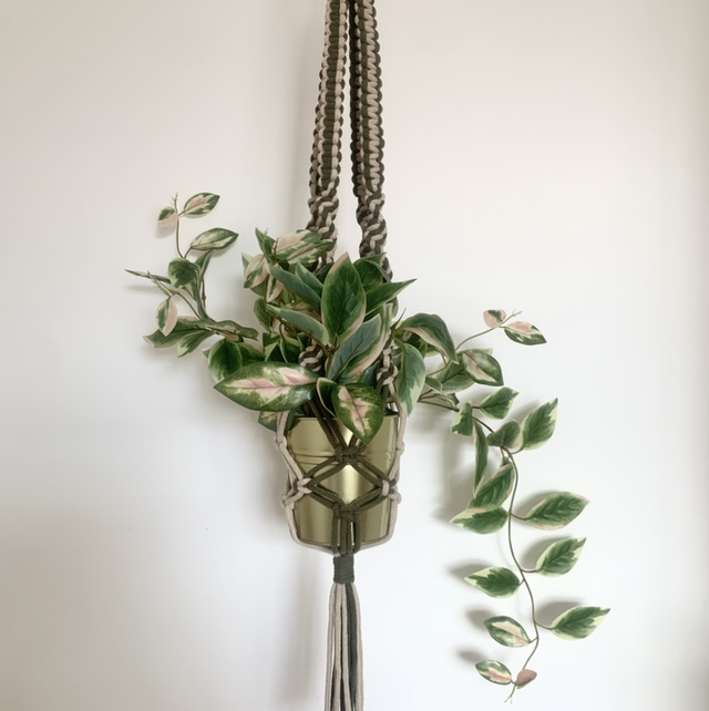 Two-Tone Plant Hanger 