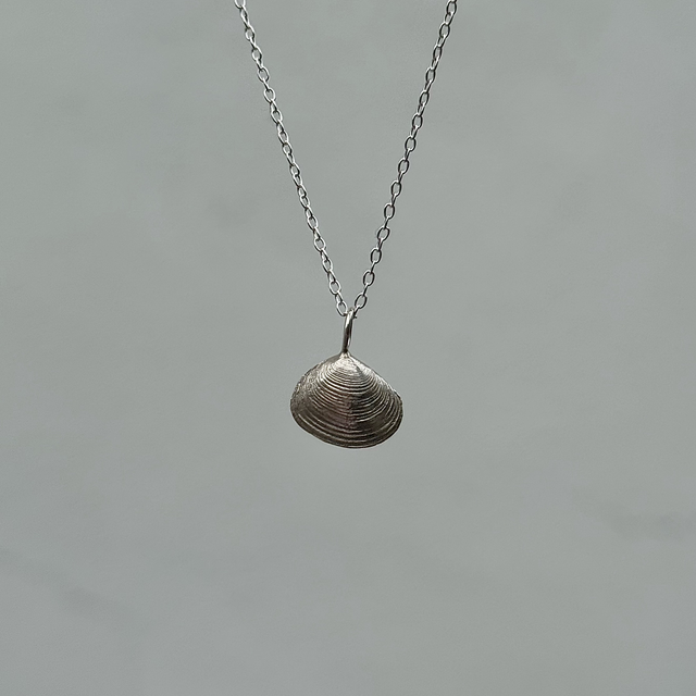 Clam Shell Necklace