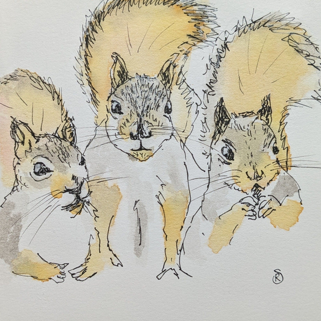 'The Mob' Squirrel Print Mounted