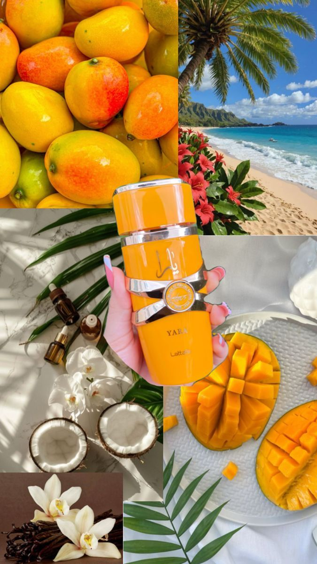 Lattafa Yara Tous Eau de Parfum für Damen