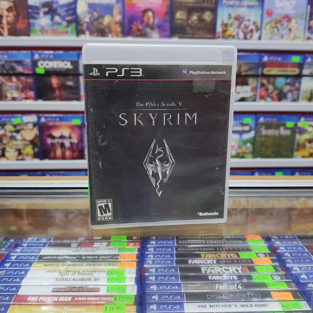 Skyrim Usado