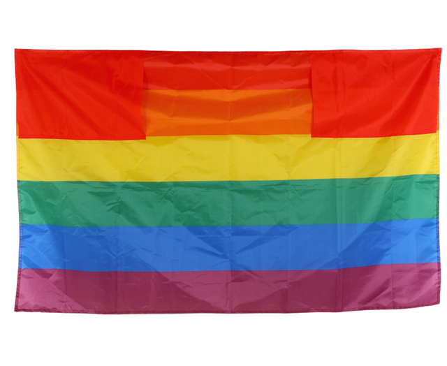 Wearable Pride Flag with Sleeves