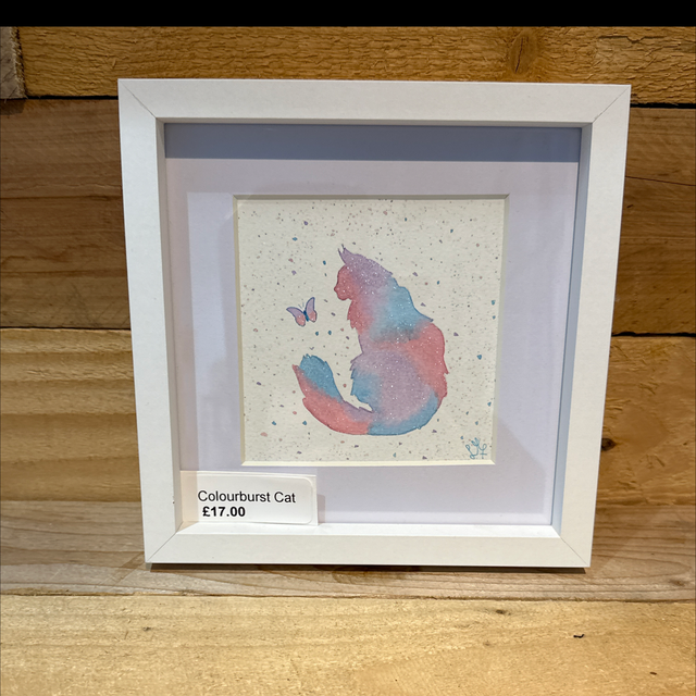 Colourburst Cat 