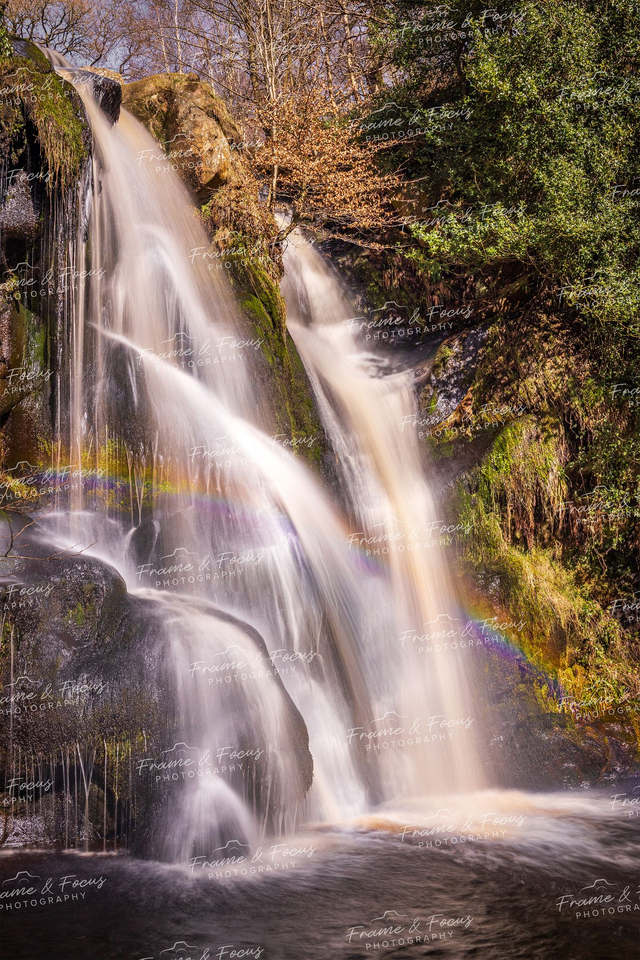 Rainbow Desolation, Bolton Abbey