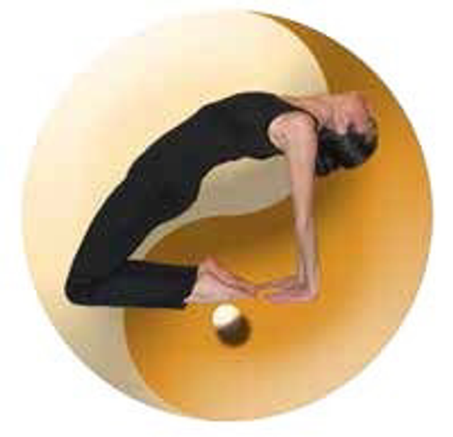 Carnet 10 cours de Zen Stretching 1h