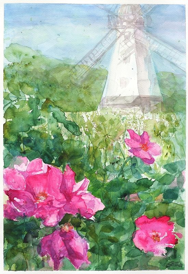 "Kartoffelrosen in Ahrenshoop" Aquarell