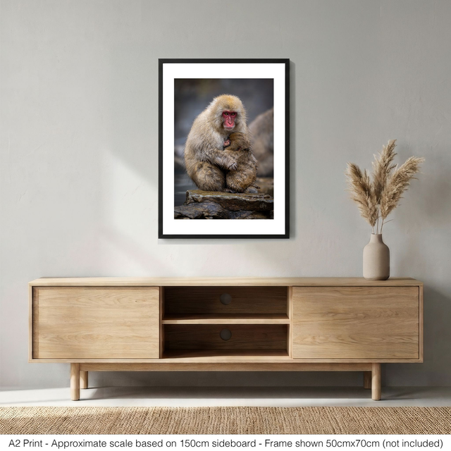 Snow Monkeys - Motherly Love