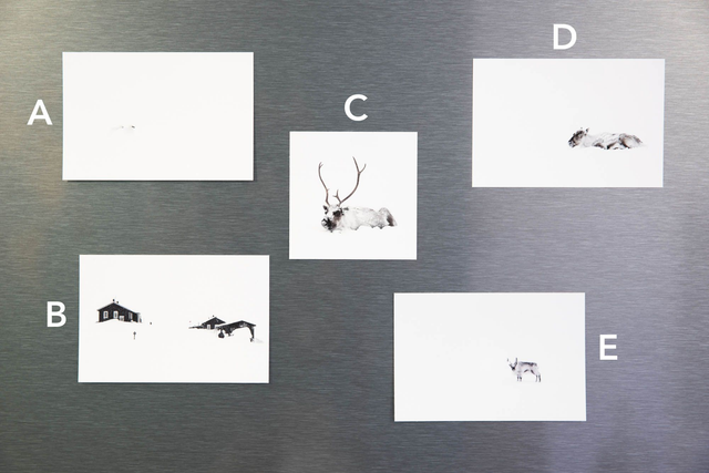Minis tirages 10x15 &quot;Jour Blanc&quot;