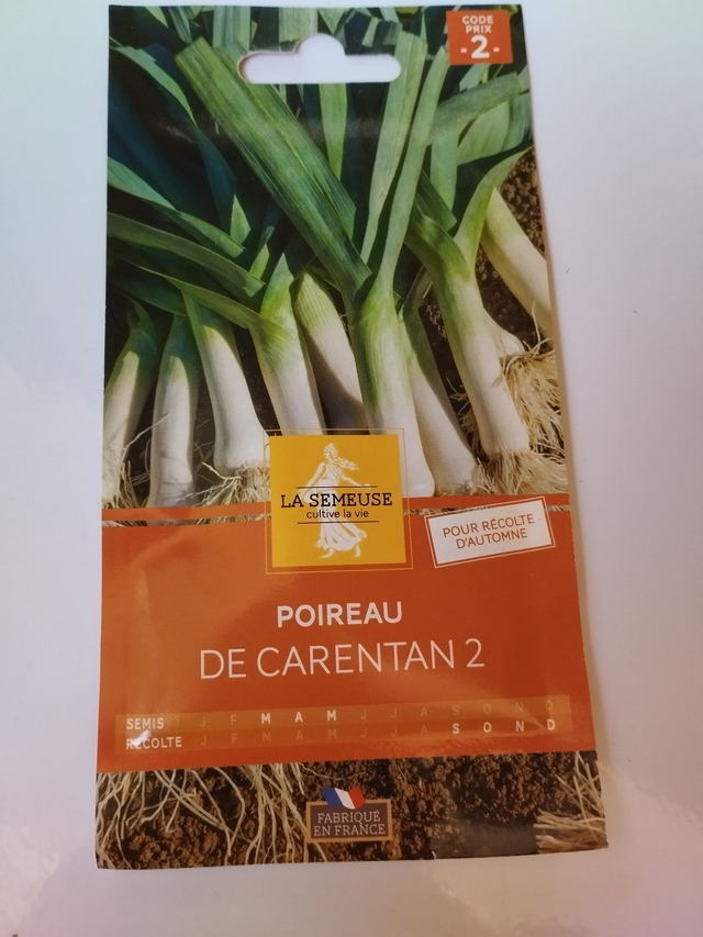 Poireau de Carentan 2