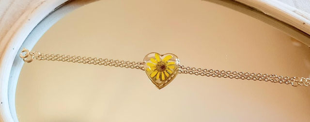 🌼 Melampodium🌼 