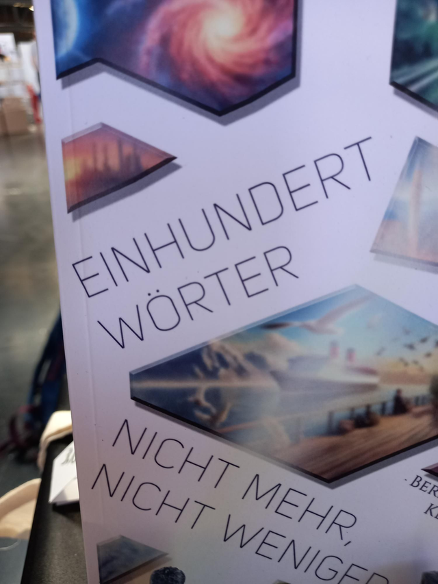 100 Wörter, Taschenbuch