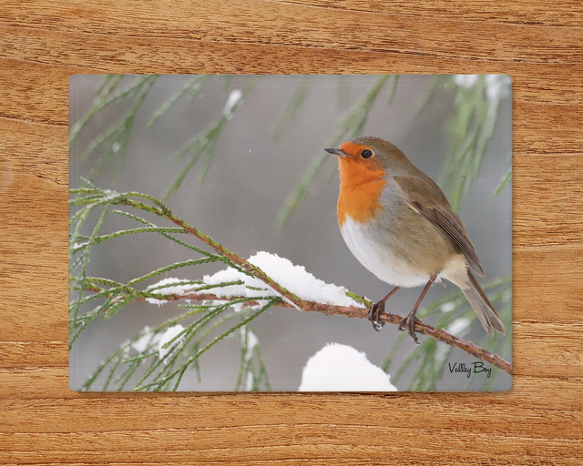 "Christmas Robin" Glass Worktop Saver  