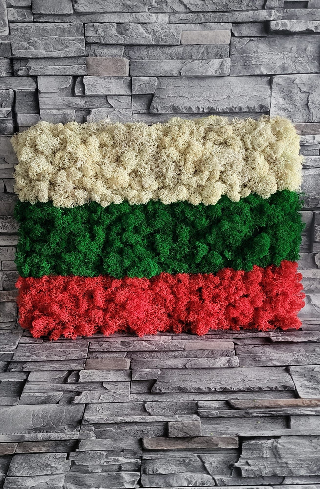 Moss Flag / Bulgaria / 