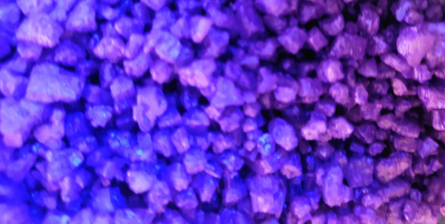 Sizzlers - Moonlit Juniper