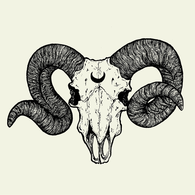 Goat skull