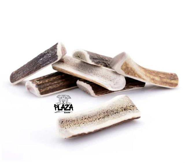 Palco di cervo aperto