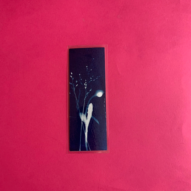 Marque page cyanotype végétal original sur papier épais et plastifié